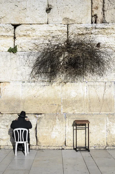 Ιερουσαλήμ, Ισραήλ στον δυτικό τοίχο — Φωτογραφία Αρχείου