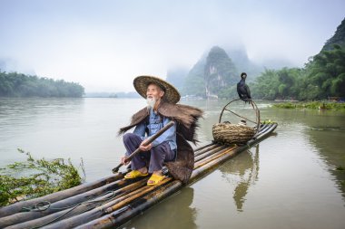 Çin Cormornat balıkçı