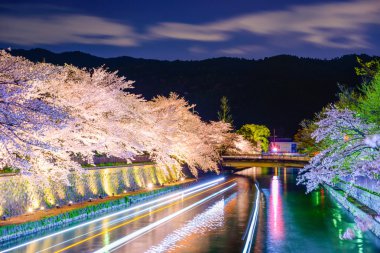 Kyoto, Japonya