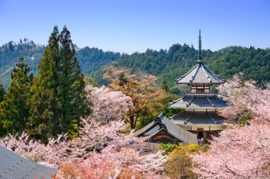 Yoshinoyama, Japonya bahar sahne