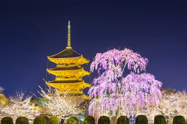 在春天的京都宝塔 — 图库照片