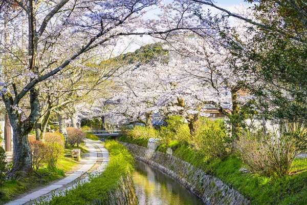Filosofer 's Way in Kyoto – stockfoto