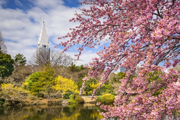Токийский парк весной — стоковое фото