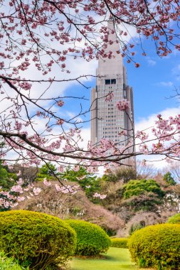 Baharda Shinjuku Gyoen Parkı