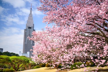 Baharda Shinjuku Gyoen Parkı