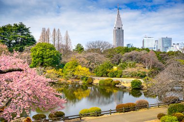 Shinjuku Gyoen Parkı