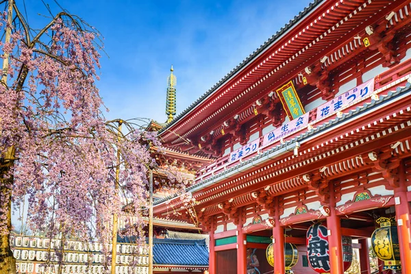 Asakusa chrám v jarní — Stock fotografie