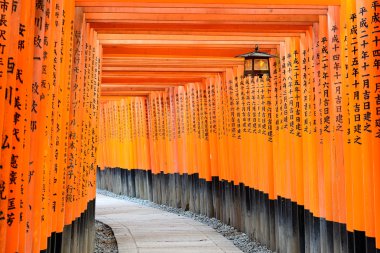Fushimi Inari tapınak Tori Gates Kyoto