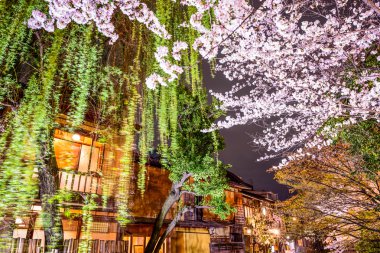 Bahar: Kyoto, Japan
