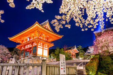 Geceleri Kyoto tapınakta bahar