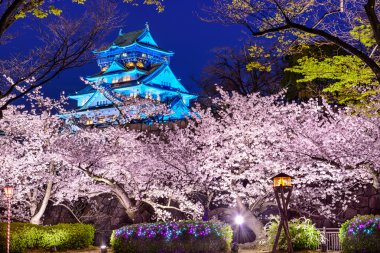 Osaka Kalesi