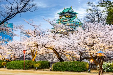 Osaka Kalesi bahar