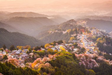 Yoshinoyama, Japonya bahar
