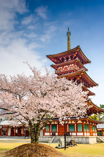 Nara, Japonsko chrám na jaře — Stock fotografie