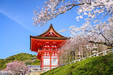 Kyoto tapınaklar bahar