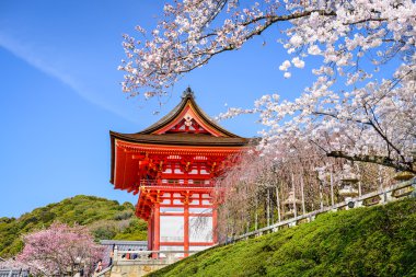 Kyoto Temples in the Spring clipart