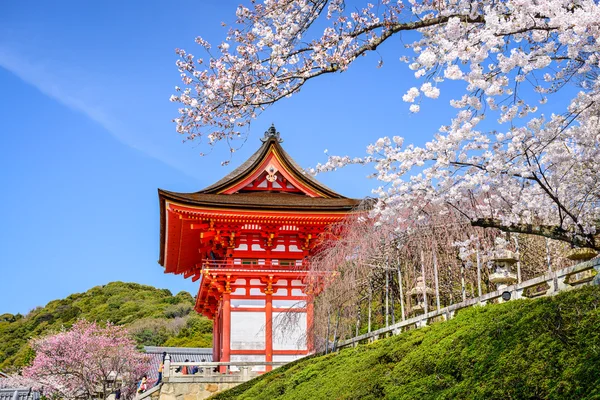 Kyoto-Tempel im Frühling — Stockfoto