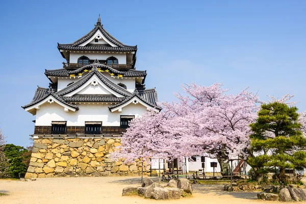 Hikone hrad na jaře — Stock fotografie