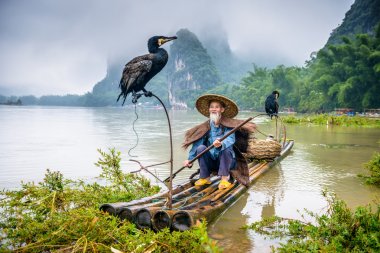 Çin karabatak balıkçı