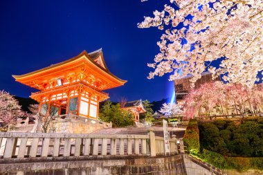 Spring Night in Kyoto clipart
