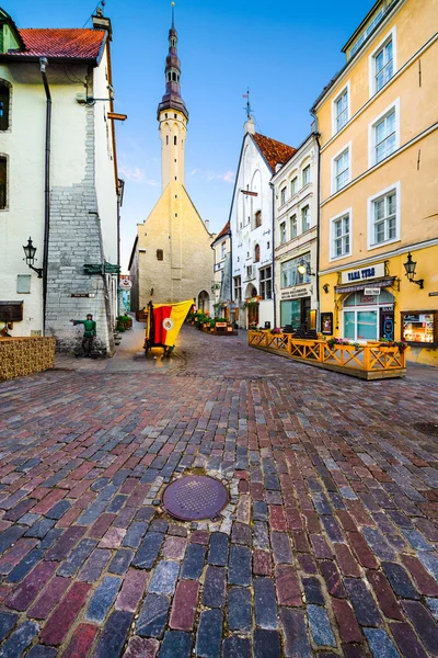 Tallinn Estonya — Stok fotoğraf