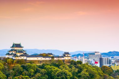 Wakayama, Japonya 
