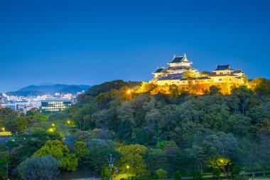Wakayama, Japonya 