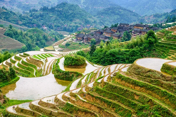 Guilin pirinç terasları — Stok fotoğraf