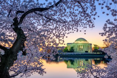 Washington Dc bahar
