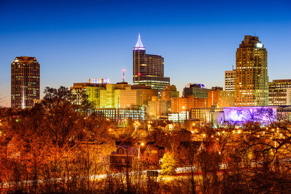 Raleigh Skyline