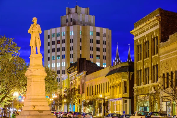 Macon Georgië Cityscape — Stockfoto