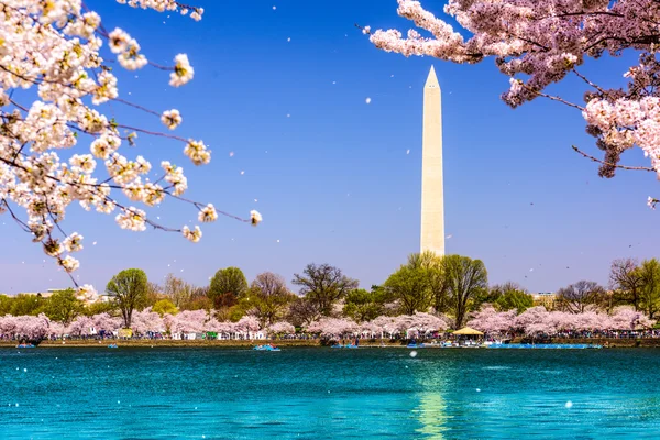 Washington DC at the Tidal Basin — Stock Photo, Image