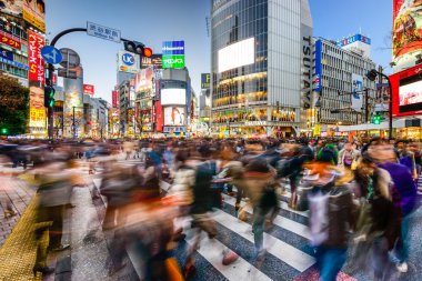 Tokyo Shibuya geçiş