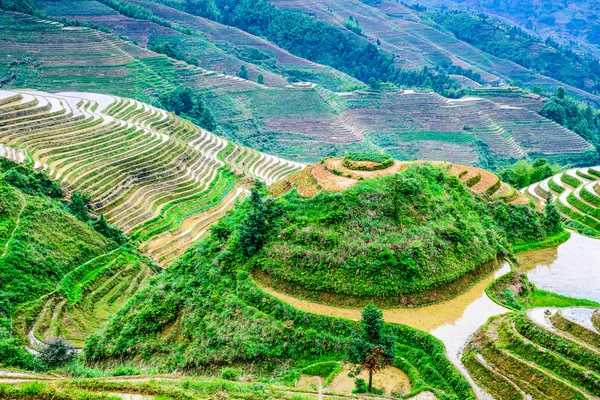 Terraços de arroz chinês — Fotografia de Stock