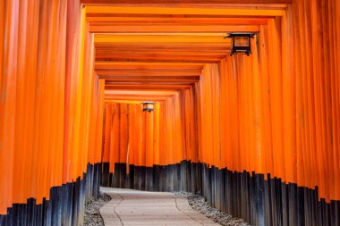 Torii Gates Fushimi Inari Tapınak