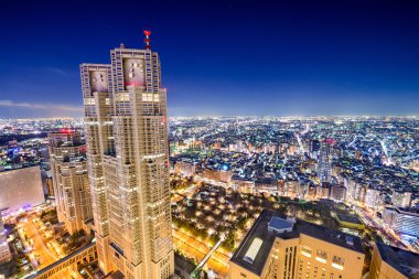 Shinjuku Cityscape