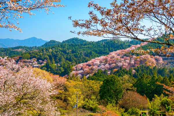 Yoshinoyama, Japão na primavera — Fotografia de Stock