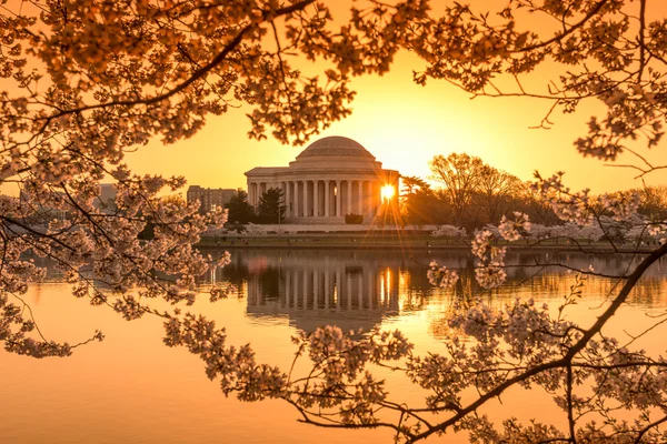 Washington DC in Spring — Stock Photo, Image