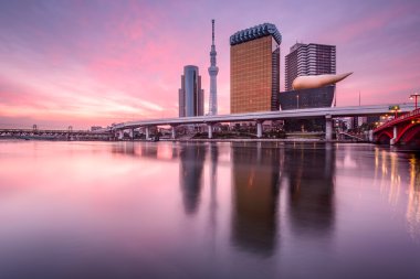 Tokyo, Japonya şafak
