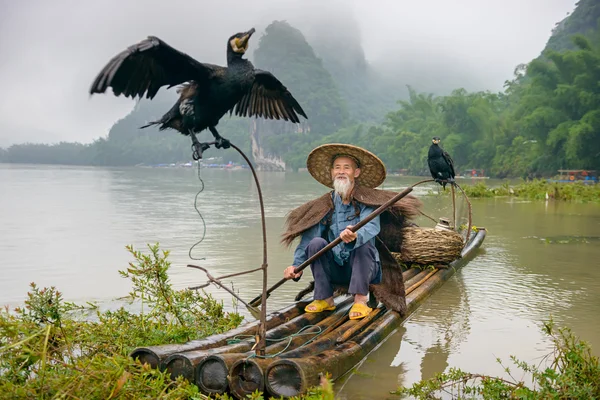 Pescador corvo-marinho — Fotografia de Stock