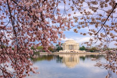 DC in Spring clipart