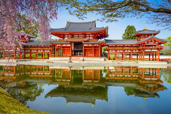 Tempio di Byodoin in primavera — Foto Stock