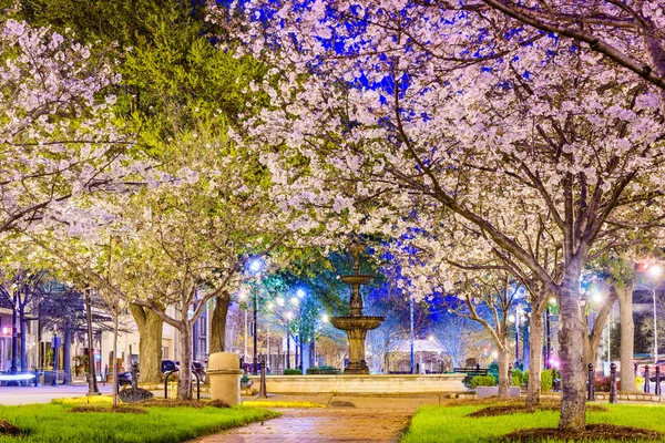 Macon, Géorgie au printemps — Photo