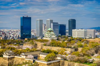 Osaka Kalesi park 