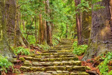 Kumano Kodo Sacred Trail clipart