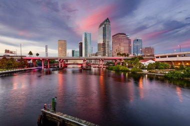 Tampa Skyline clipart