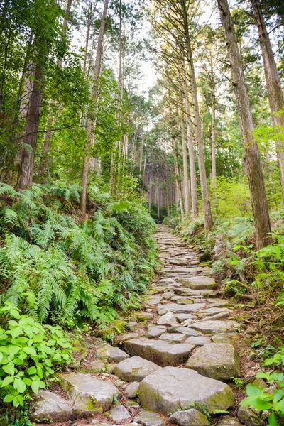 Kumano Kodo Camino Sagrado —  Fotos de Stock