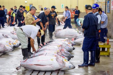 Tsukiji pazarı