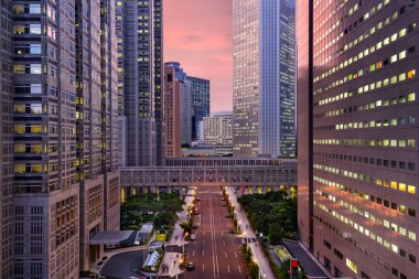Tokyo Metropolitan hükümet binaları