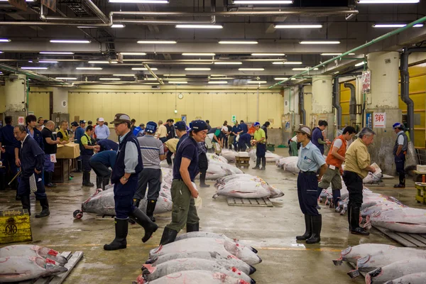 Tsukiji Vismarkt — Stockfoto
